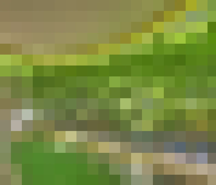  / #6
