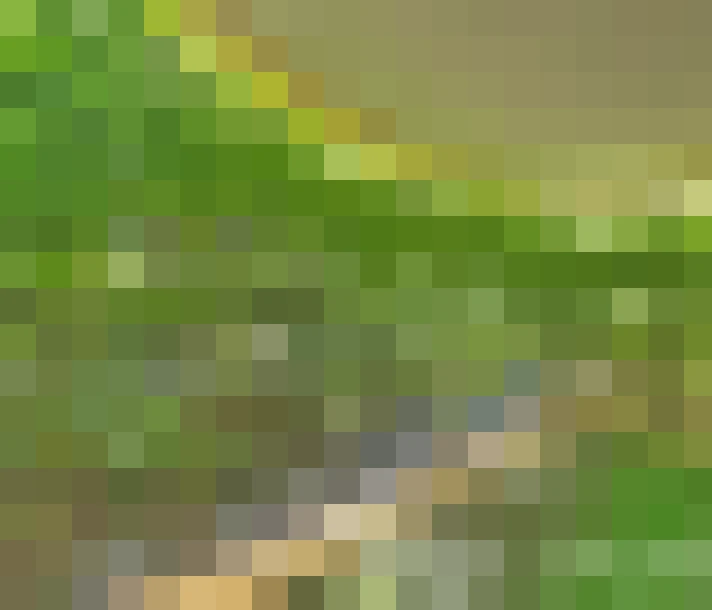  / #7