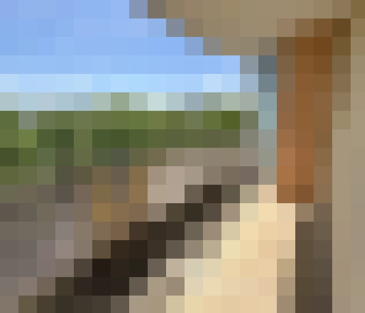 / #17