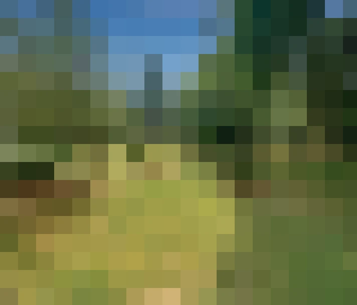  / #16