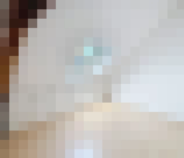  / #15