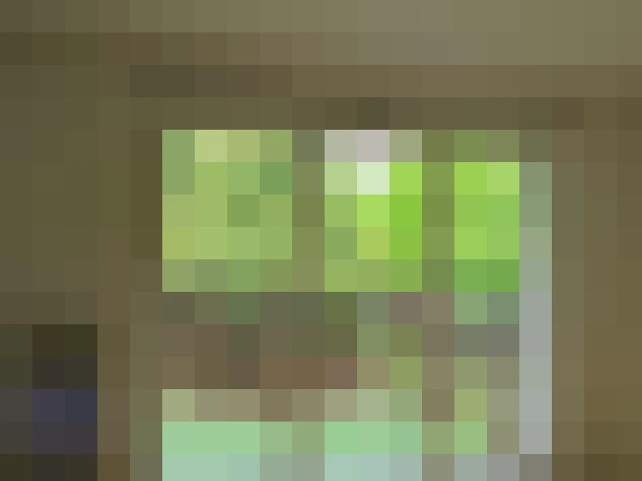  / #9