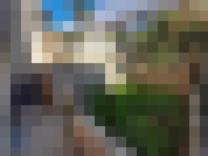  / #17
