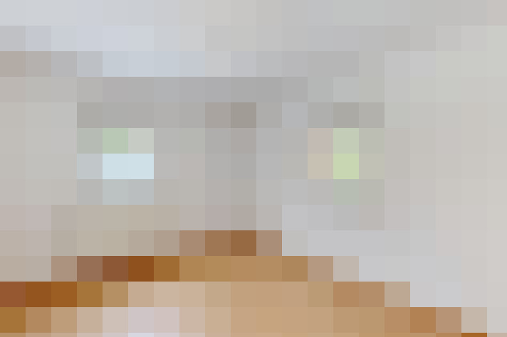  / #12