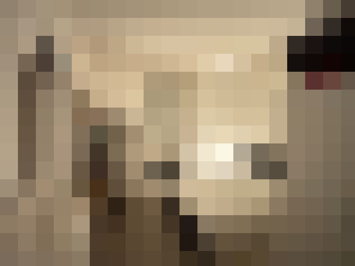  / #8