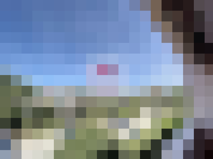  / #8