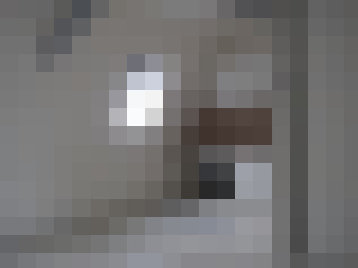  / #6