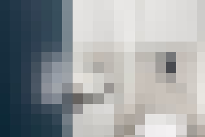  / #15