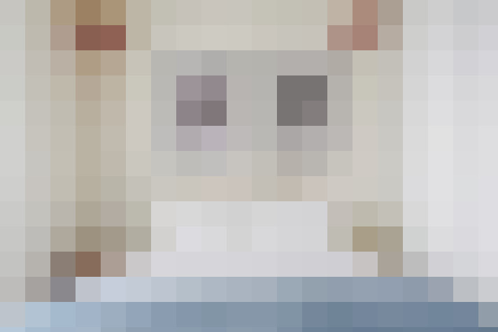  / #22