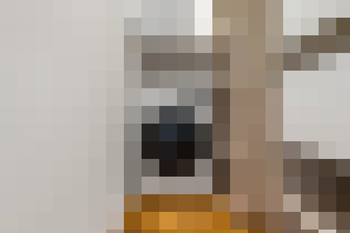 / #17