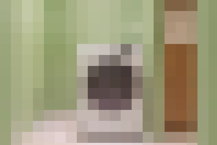  / #14