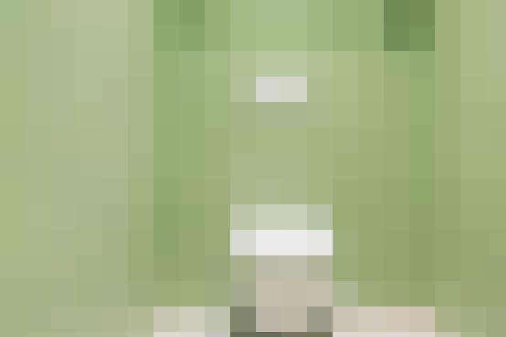  / #20