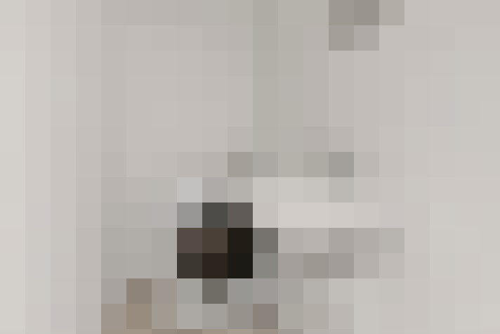  / #20