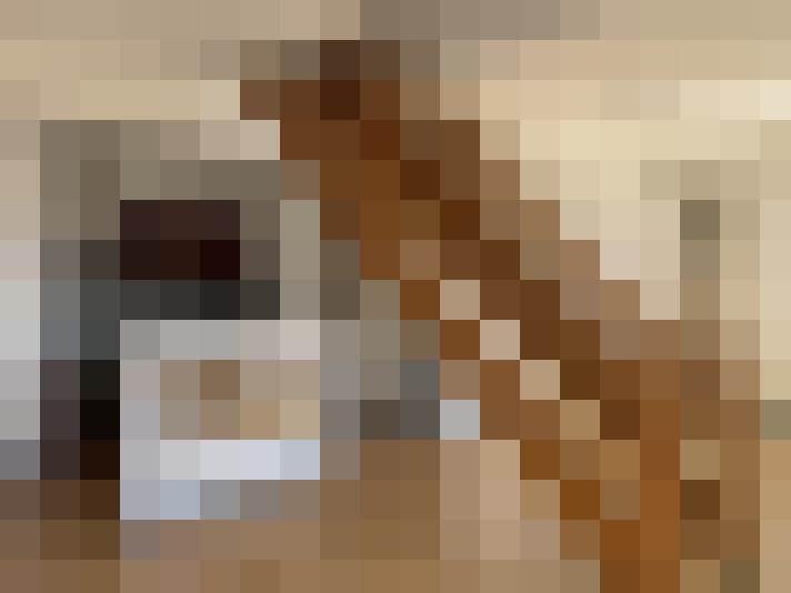 / #14