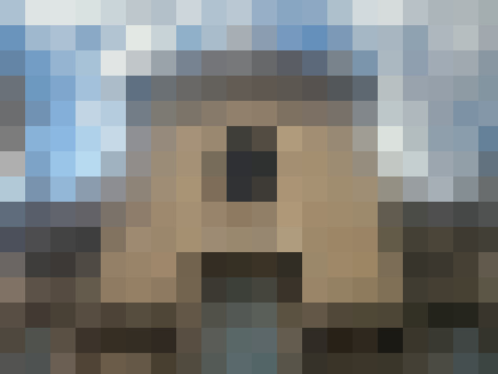  / #7
