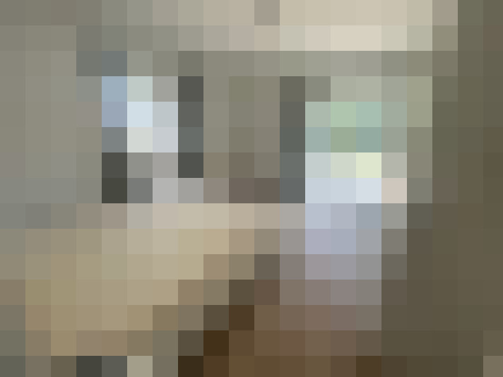  / #16