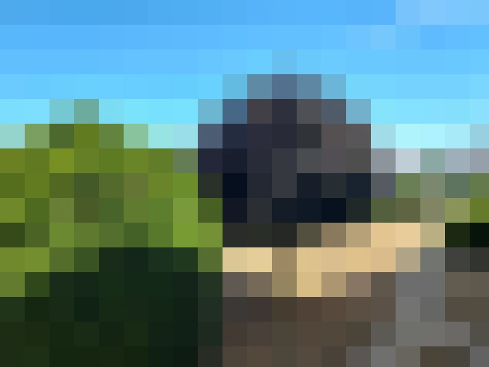  / #13