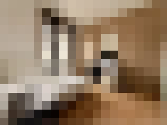  / #13