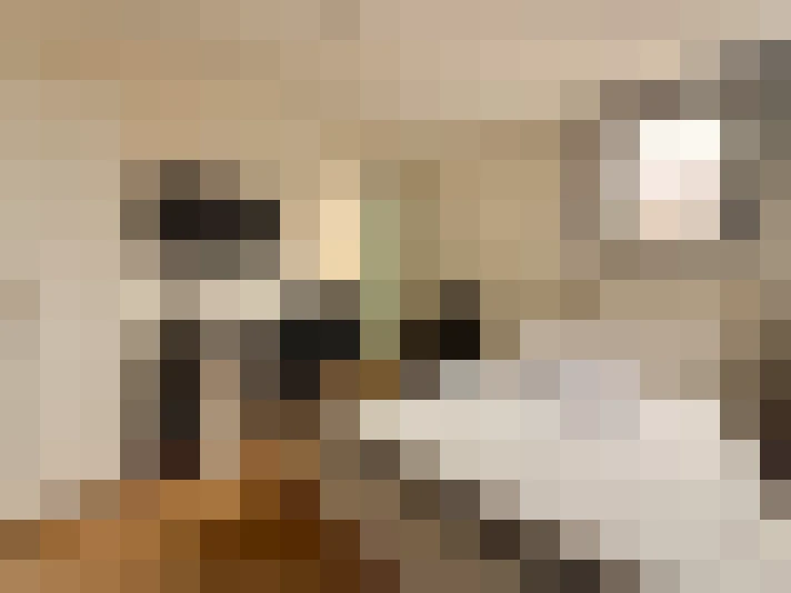  / #17