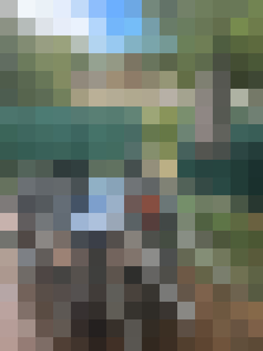  / #15