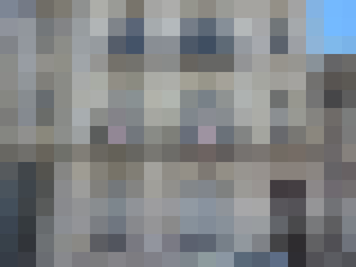  / #16