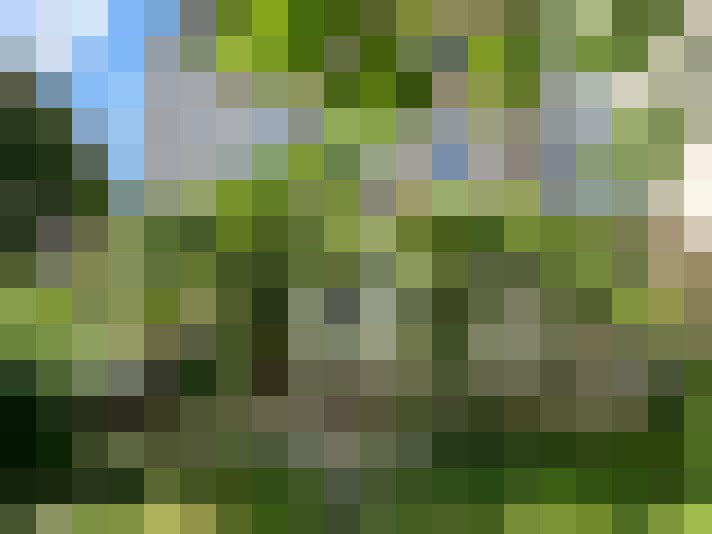  / #14