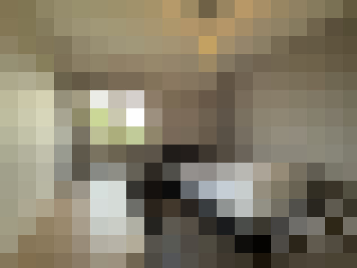  / #12
