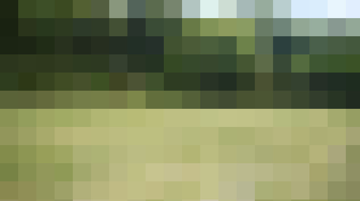  / #16