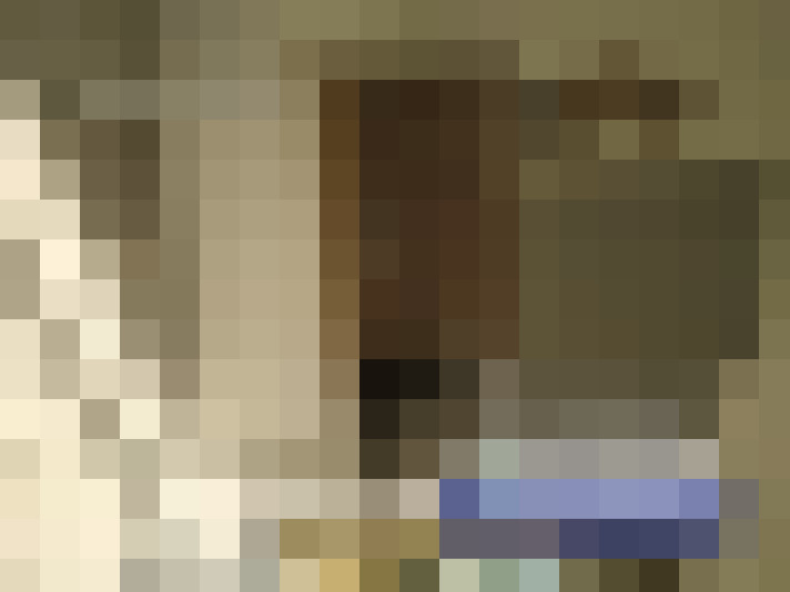  / #15