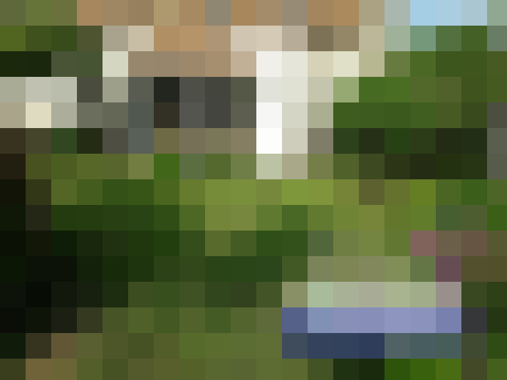  / #17