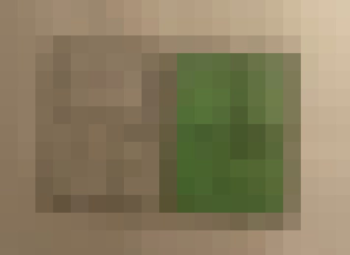  / #11