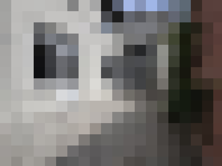  / #15