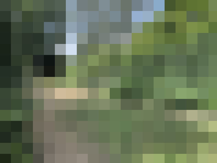  / #17