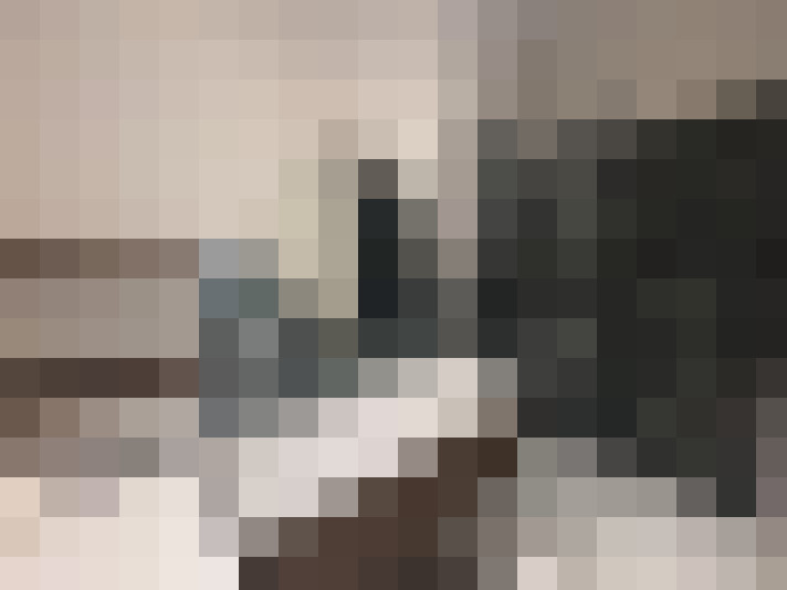  / #8