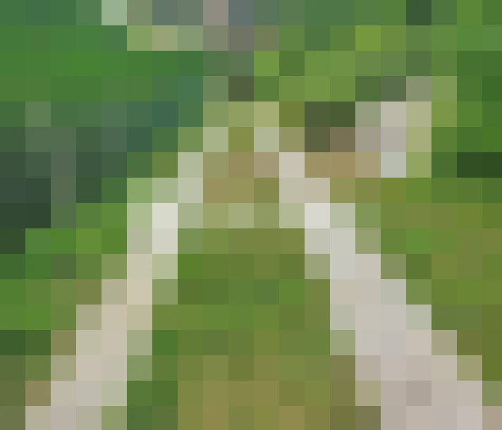  / #14