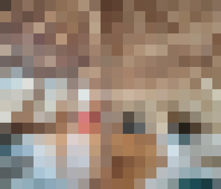  / #16