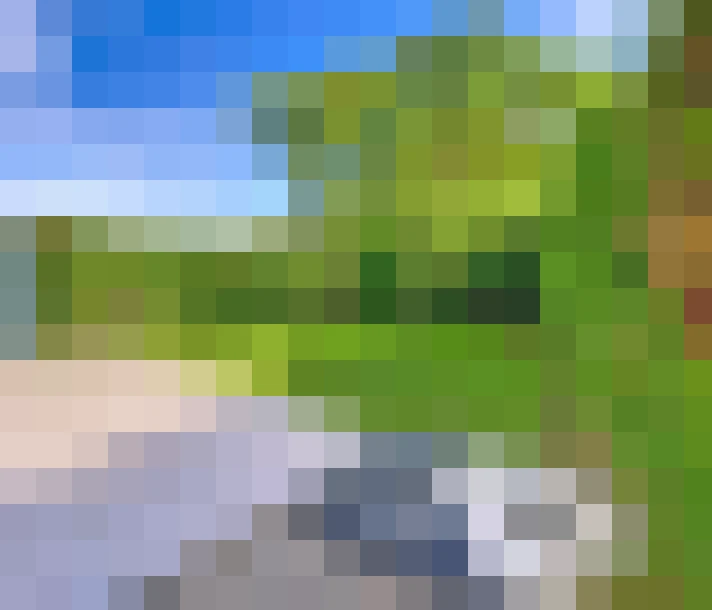  / #12