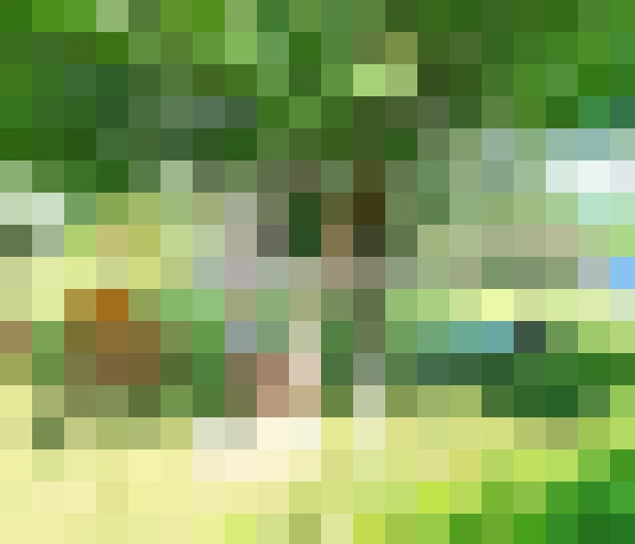  / #15