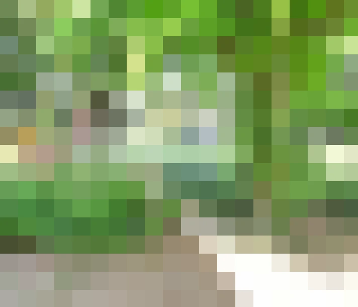  / #14