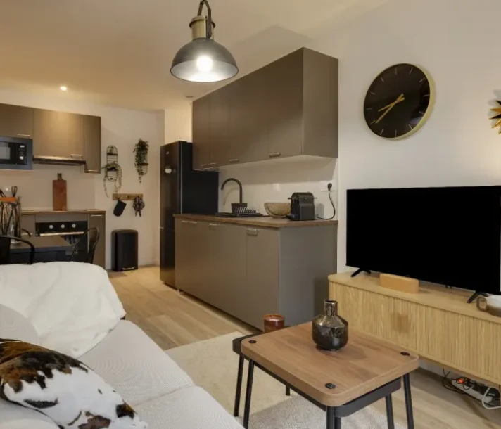 Voir la photo 1/5 du type apartment à Lormont