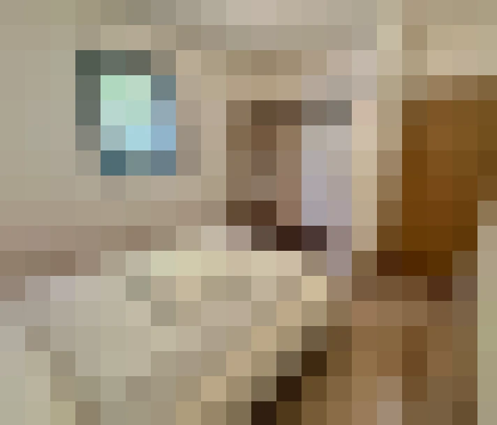  / #8