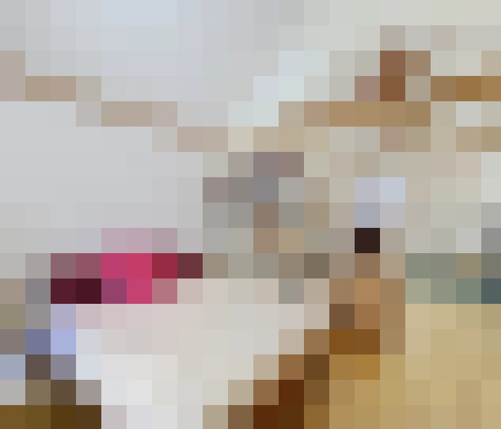  / #13