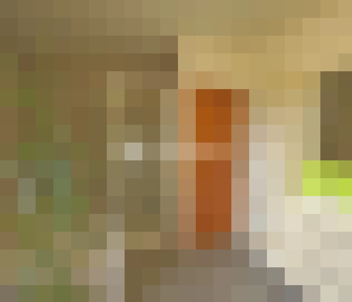  / #16