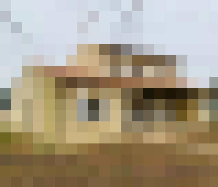  / #11