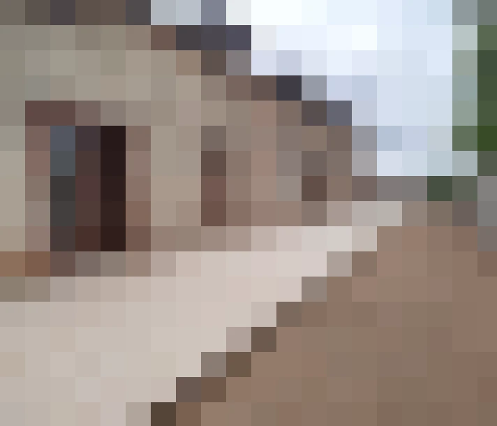  / #16