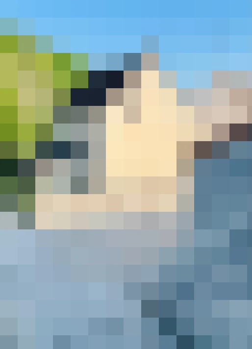  / #11