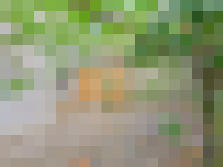  / #14