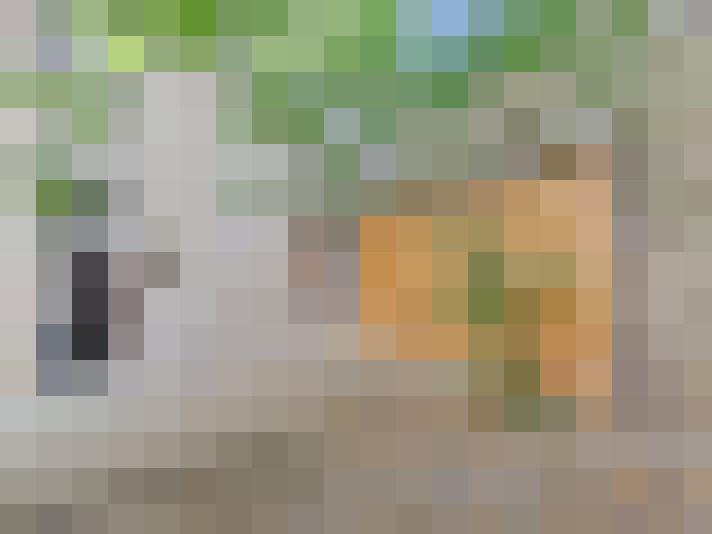  / #13