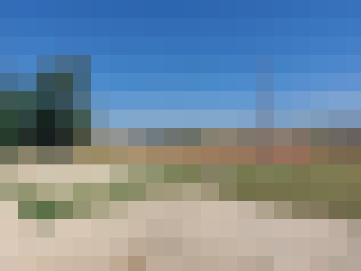  / #7