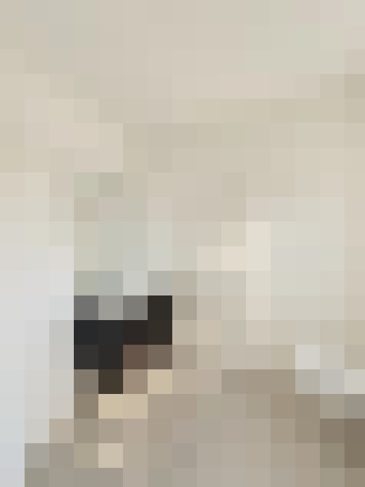  / #26